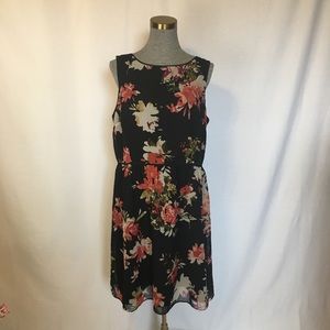 Ann Taylor LOFT Black Floral Fit and Flare Dress